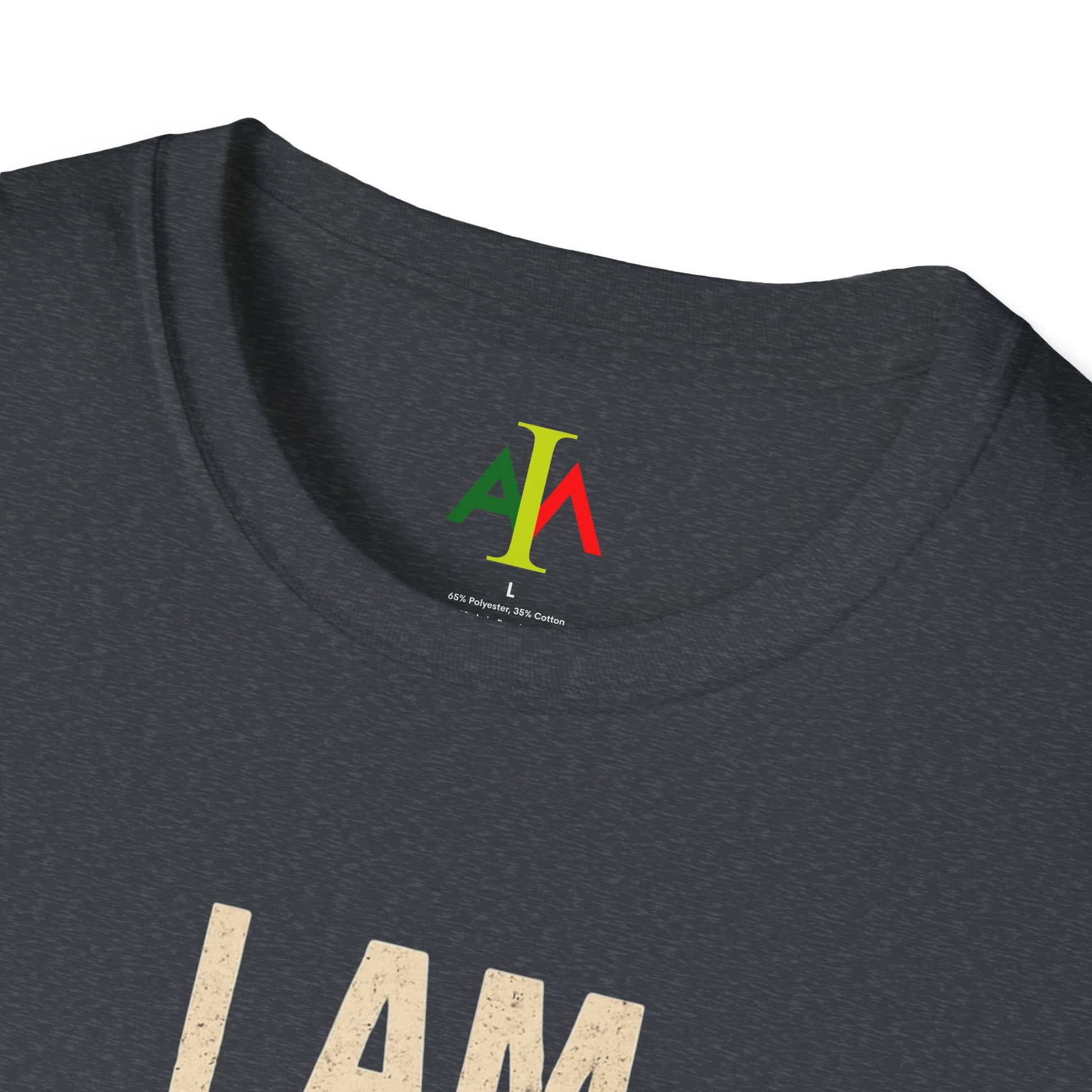 Dark gray t-shirt with 'I AM' text and colorful logo on neckline