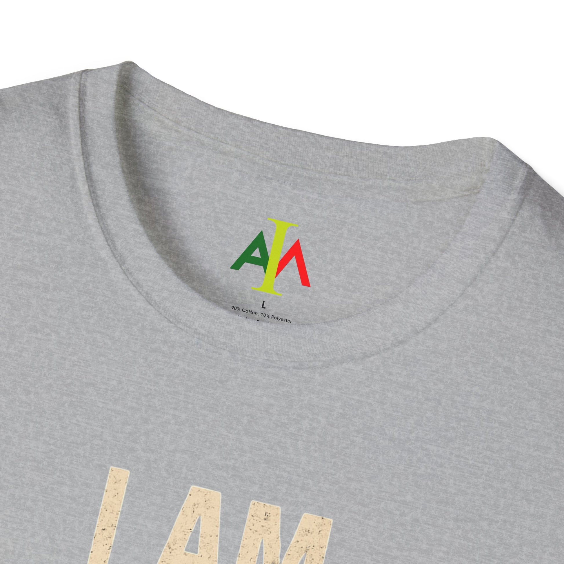 Gray t-shirt with colorful logo and text on a white background