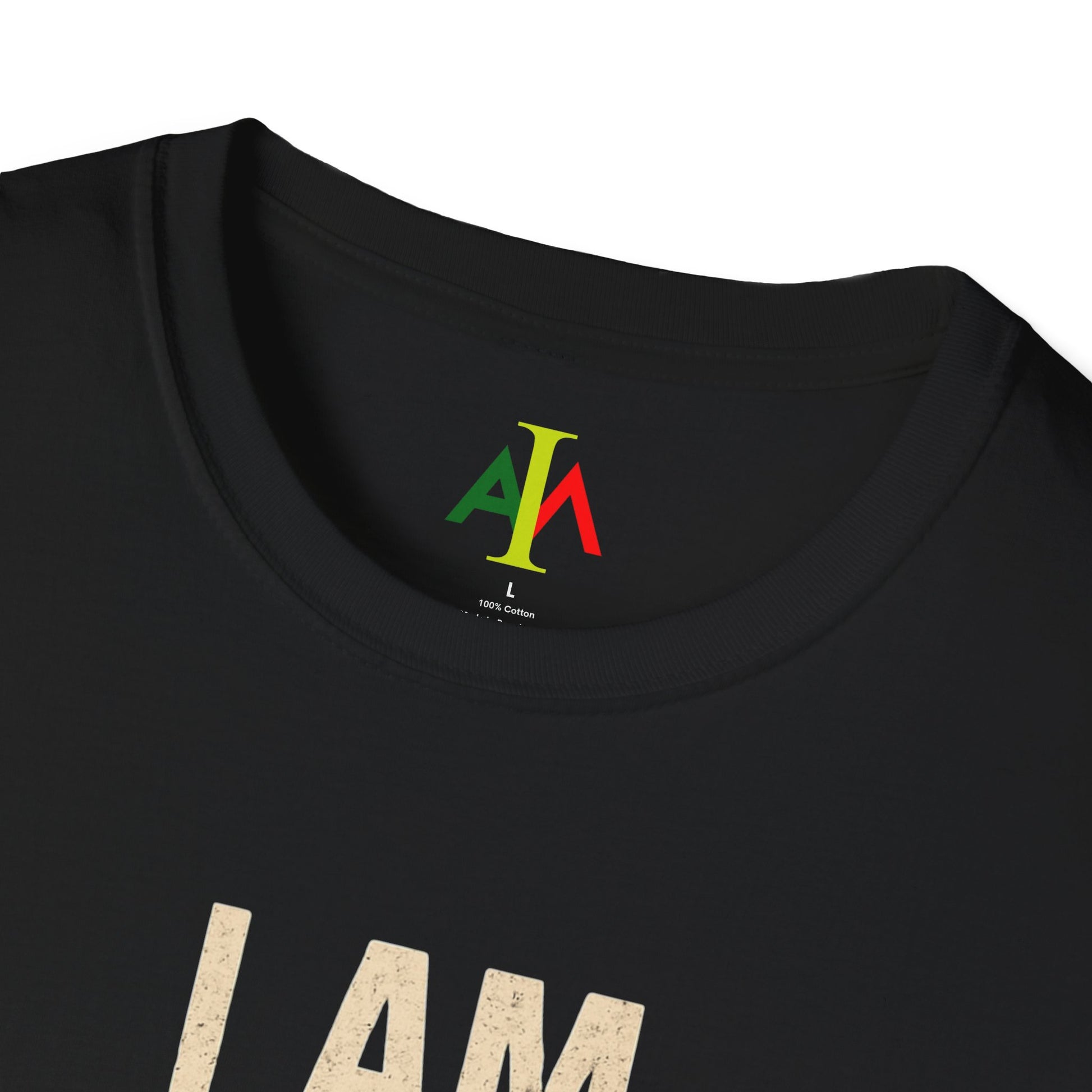 Black t-shirt with colorful logo and text on a white background